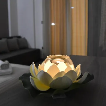 Apartahotel Dream 4*