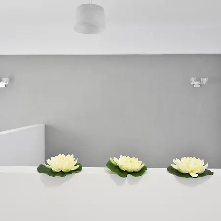 Dream סטאברוס